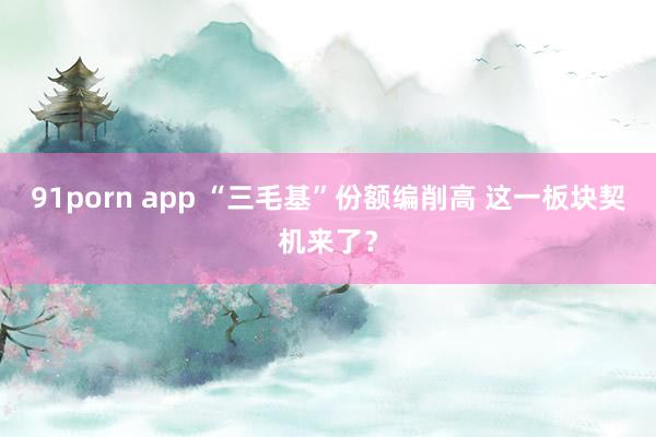 91porn app “三毛基”份额编削高 这一板块契机来了？