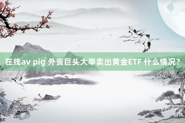 在线av pig 外资巨头大举卖出黄金ETF 什么情况？