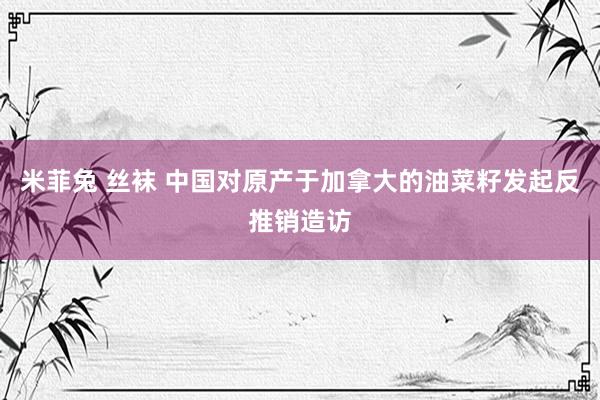 米菲兔 丝袜 中国对原产于加拿大的油菜籽发起反推销造访