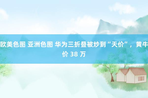 欧美色图 亚洲色图 华为三折叠被炒到“天价”，黄牛价 38 万