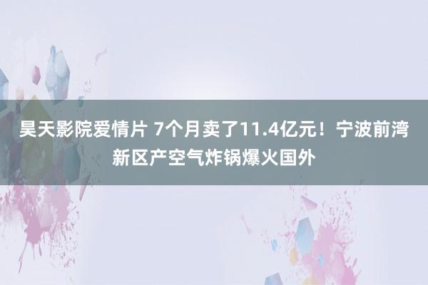 昊天影院爱情片 7个月卖了11.4亿元！宁波前湾新区产空气炸锅爆火国外