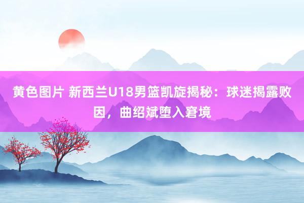 黄色图片 新西兰U18男篮凯旋揭秘：球迷揭露败因，曲绍斌堕入窘境