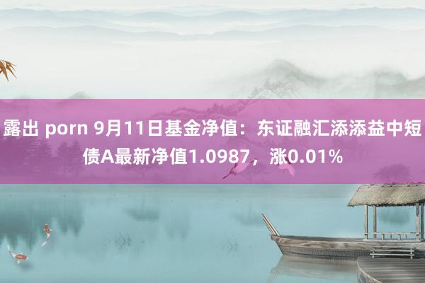 露出 porn 9月11日基金净值：东证融汇添添益中短债A最新净值1.0987，涨0.01%