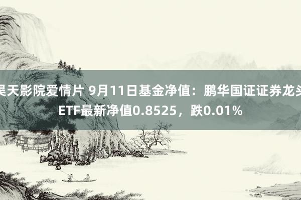 昊天影院爱情片 9月11日基金净值：鹏华国证证券龙头ETF最新净值0.8525，跌0.01%