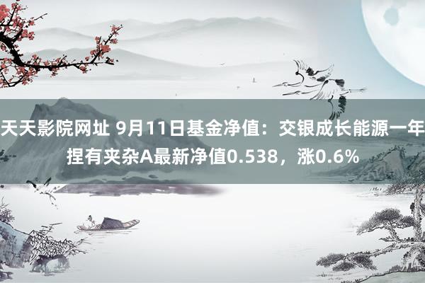 天天影院网址 9月11日基金净值：交银成长能源一年捏有夹杂A最新净值0.538，涨0.6%