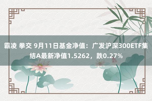 霸凌 拳交 9月11日基金净值：广发沪深300ETF集结A最新净值1.5262，跌0.27%