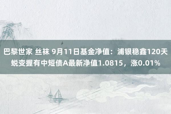 巴黎世家 丝袜 9月11日基金净值：浦银稳鑫120天蜕变握有中短债A最新净值1.0815，涨0.01