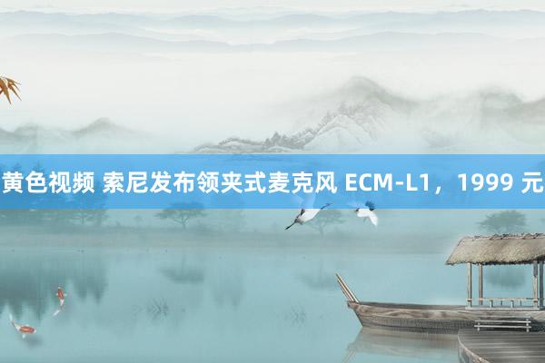 黄色视频 索尼发布领夹式麦克风 ECM-L1，1999 元