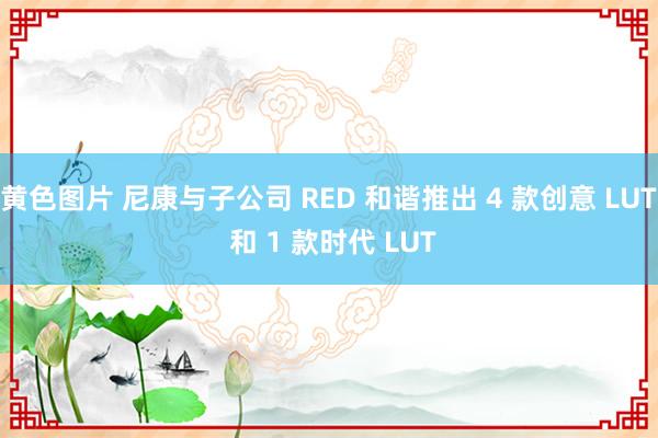 黄色图片 尼康与子公司 RED 和谐推出 4 款创意 LUT 和 1 款时代 LUT