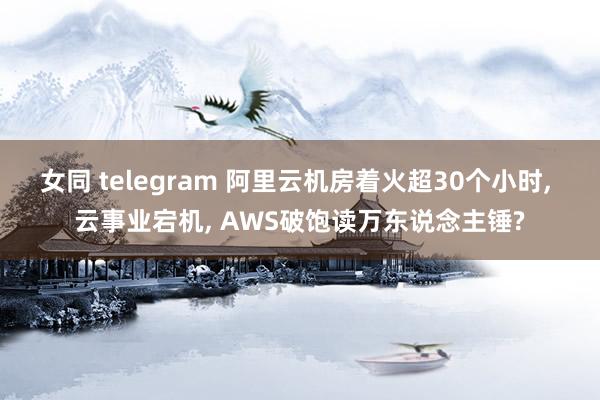 女同 telegram 阿里云机房着火超30个小时, 云事业宕机, AWS破饱读万东说念主锤?