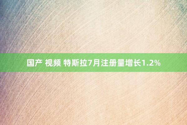 国产 视频 特斯拉7月注册量增长1.2%