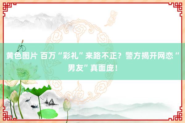 黄色图片 百万“彩礼”来路不正？警方揭开网恋“男友”真面庞！