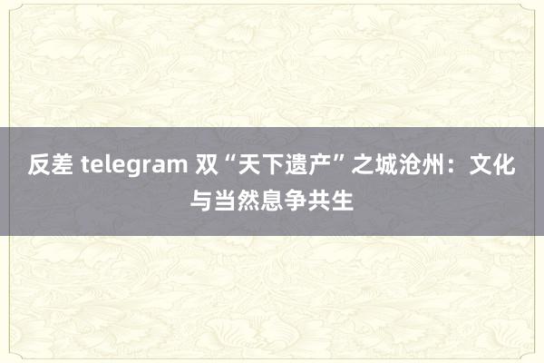 反差 telegram 双“天下遗产”之城沧州：文化与当然息争共生