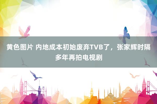 黄色图片 内地成本初始废弃TVB了，张家辉时隔多年再拍电视剧