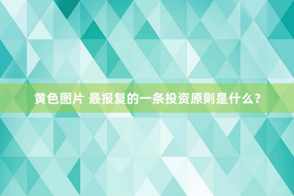 黄色图片 最报复的一条投资原则是什么？