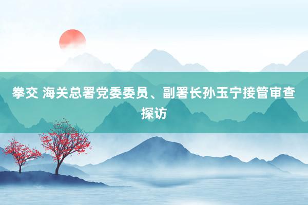 拳交 海关总署党委委员、副署长孙玉宁接管审查探访