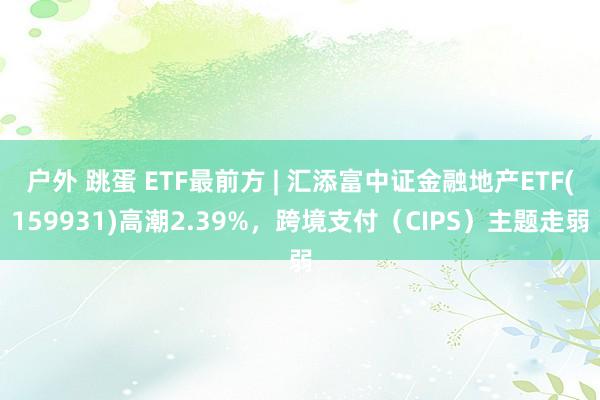 户外 跳蛋 ETF最前方 | 汇添富中证金融地产ETF(159931)高潮2.39%，跨境支付（CI