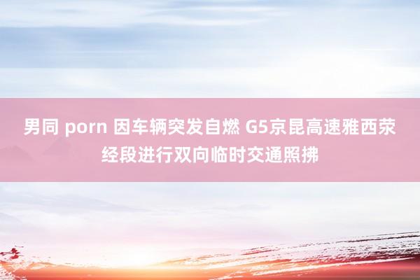 男同 porn 因车辆突发自燃 G5京昆高速雅西荥经段进行双向临时交通照拂