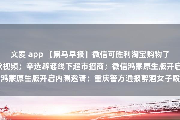 文爱 app 【黑马早报】微信可胜利淘宝购物了；“东北雨姐”删除说念歉视频；辛选辟谣线下超市招商；微