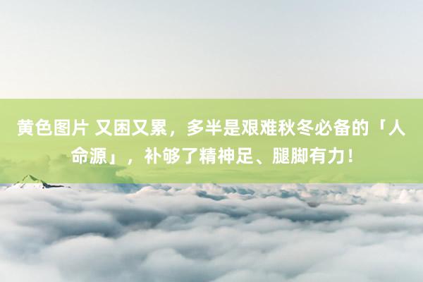 黄色图片 又困又累，多半是艰难秋冬必备的「人命源」，补够了精神足、腿脚有力！