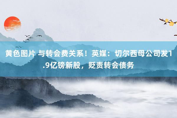 黄色图片 与转会费关系！英媒：切尔西母公司发1.9亿镑新股，贬责转会债务