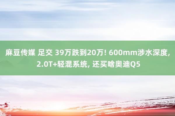 麻豆传媒 足交 39万跌到20万! 600mm涉水深度, 2.0T+轻混系统, 还买啥奥迪Q5