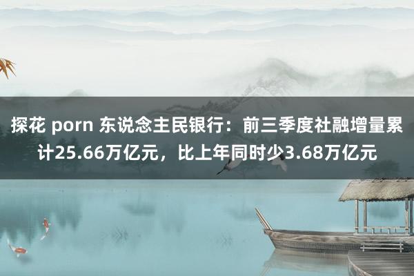 探花 porn 东说念主民银行：前三季度社融增量累计25.66万亿元，比上年同时少3.68万亿元