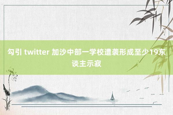 勾引 twitter 加沙中部一学校遭袭形成至少19东谈主示寂