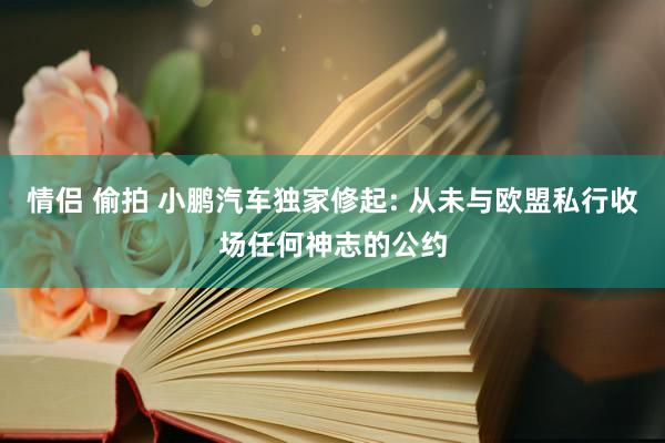 情侣 偷拍 小鹏汽车独家修起: 从未与欧盟私行收场任何神志的公约