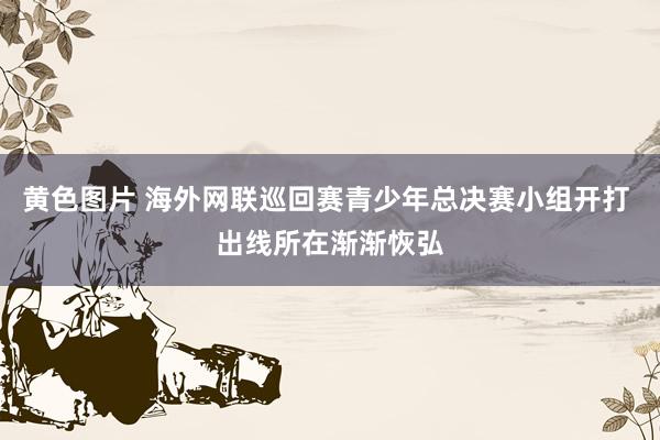 黄色图片 海外网联巡回赛青少年总决赛小组开打 出线所在渐渐恢弘