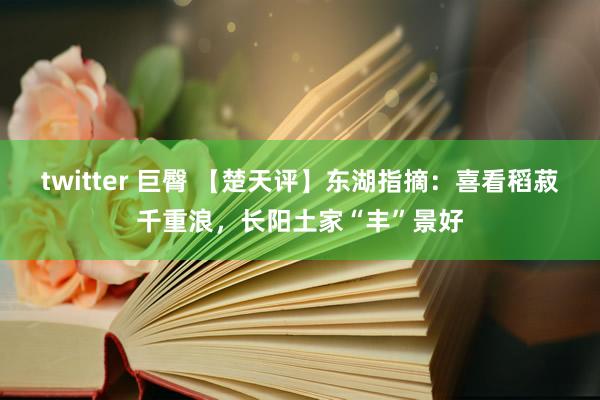 twitter 巨臀 【楚天评】东湖指摘：喜看稻菽千重浪，长阳土家“丰”景好