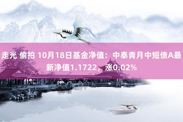 走光 偷拍 10月18日基金净值：中泰青月中短债A最新净值1.1722，涨0.02%