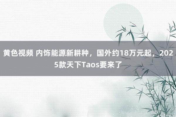 黄色视频 内饰能源新耕种，国外约18万元起，2025款天下Taos要来了