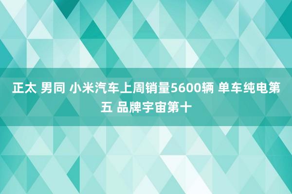 正太 男同 小米汽车上周销量5600辆 单车纯电第五 品牌宇宙第十