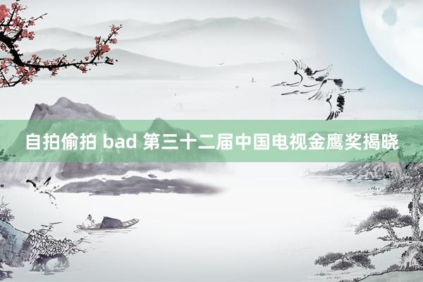 自拍偷拍 bad 第三十二届中国电视金鹰奖揭晓