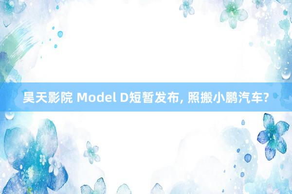 昊天影院 Model D短暂发布, 照搬小鹏汽车?