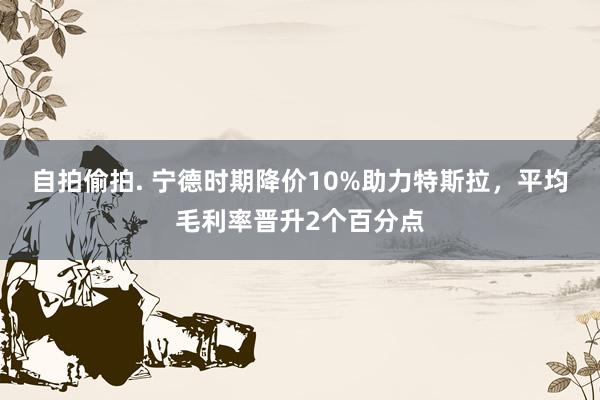 自拍偷拍. 宁德时期降价10%助力特斯拉，平均毛利率晋升2个百分点