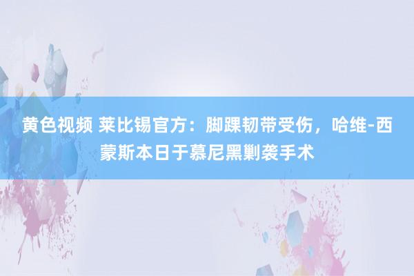 黄色视频 莱比锡官方：脚踝韧带受伤，哈维-西蒙斯本日于慕尼黑剿袭手术