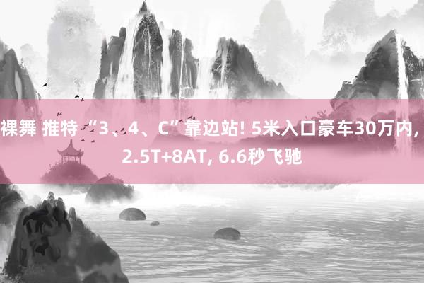 裸舞 推特 “3、4、C”靠边站! 5米入口豪车30万内， 2.5T+8AT， 6.6秒飞驰