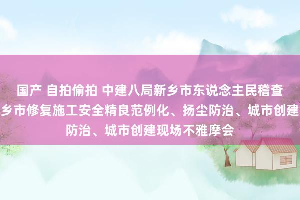 国产 自拍偷拍 中建八局新乡市东说念主民稽查院形式经办新乡市修复施工安全精良范例化、扬尘防治、城市创