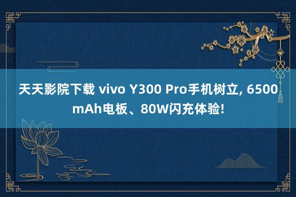 天天影院下载 vivo Y300 Pro手机树立, 6500mAh电板、80W闪充体验!