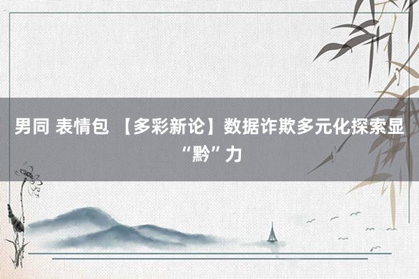 男同 表情包 【多彩新论】数据诈欺多元化探索显“黔”力