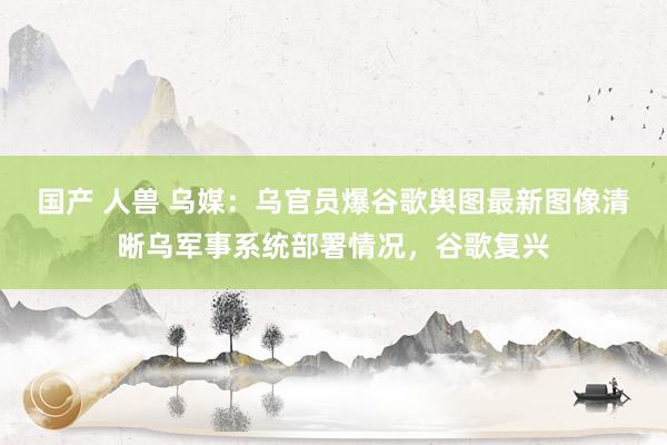 国产 人兽 乌媒：乌官员爆谷歌舆图最新图像清晰乌军事系统部署情况，谷歌复兴