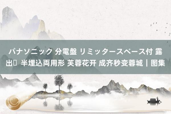 パナソニック 分電盤 リミッタースペース付 露出・半埋込両用形 芙蓉花开 成齐秒变蓉城｜图集