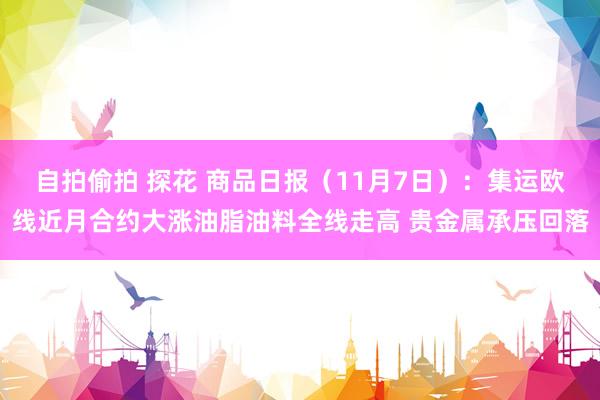 自拍偷拍 探花 商品日报（11月7日）：集运欧线近月合约大涨油脂油料全线走高 贵金属承压回落