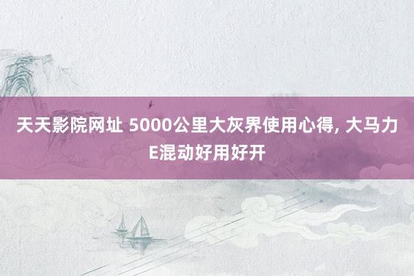 天天影院网址 5000公里大灰界使用心得, 大马力E混动好用好开