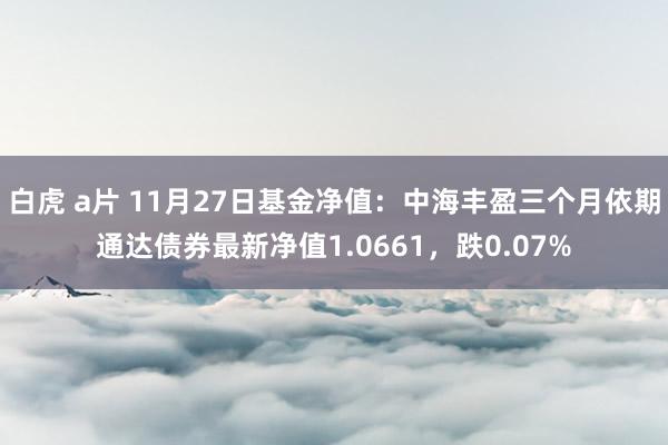 白虎 a片 11月27日基金净值：中海丰盈三个月依期通达债券最新净值1.0661，跌0.07%