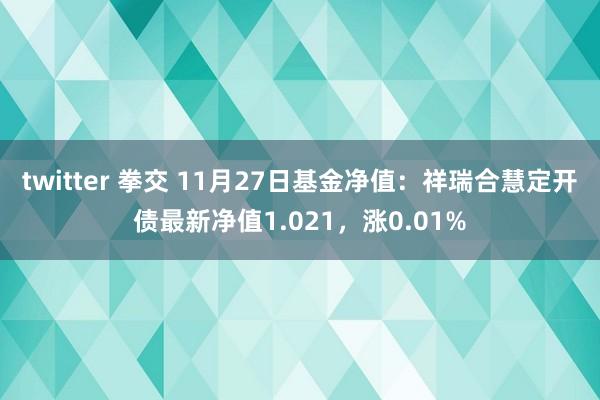 twitter 拳交 11月27日基金净值：祥瑞合慧定开债最新净值1.021，涨0.01%