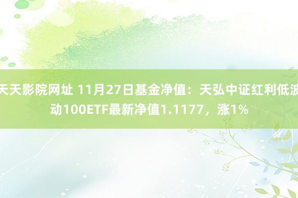 天天影院网址 11月27日基金净值：天弘中证红利低波动100ETF最新净值1.1177，涨1%