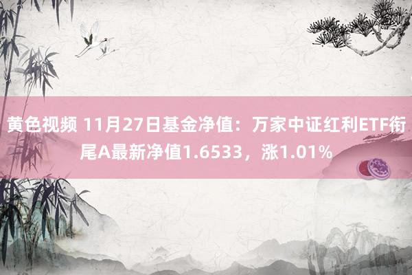 黄色视频 11月27日基金净值：万家中证红利ETF衔尾A最新净值1.6533，涨1.01%